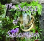 The Song of Solomon - 12 Message Audio Series
